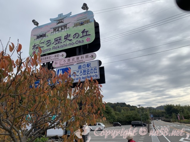 「道の駅　ねごろ歴史の丘」和歌山県岩出市　狭い方離れた方の駐車場