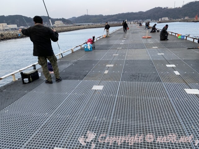 「豊浜海釣り公園」愛知県南知多町　の釣り桟橋