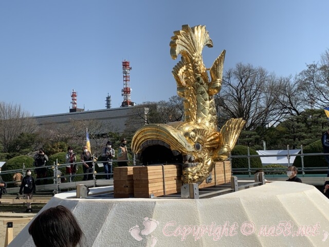 金鯱展（名古屋市名古屋城）山シャチ　雌の金シャチ
