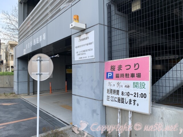 岡崎の桜まつり21 無料 有料駐車場と屋台 期間 川沿いが最高です 愛知県 動画あり なごやねっと Na58 Net