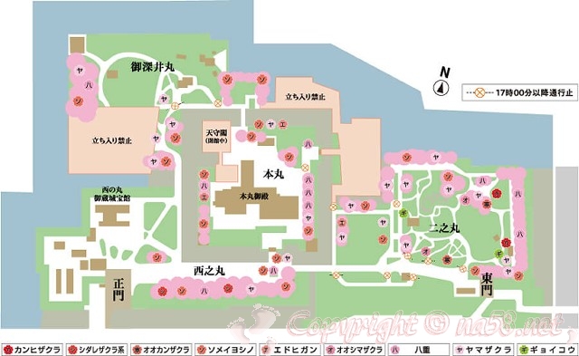 名古屋城に咲く桜の図　さくらマップ