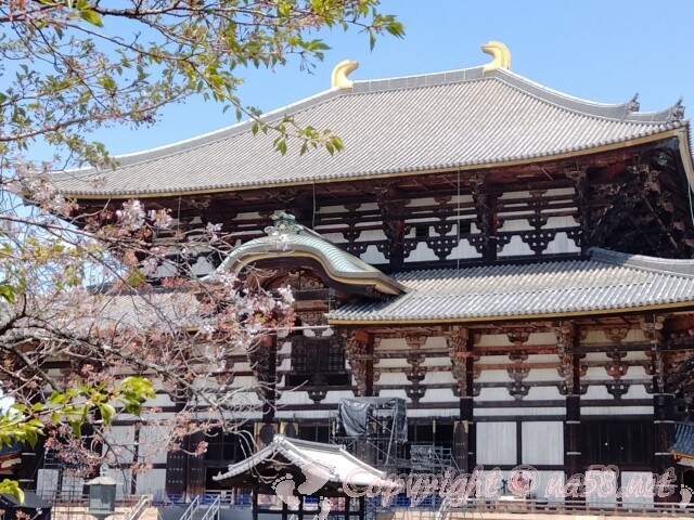 奈良県　東大寺の大仏殿