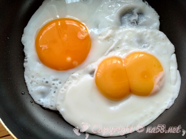 二黄卵と普通の卵を目玉焼きに