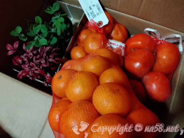 岐阜の産直市場(JA)ファーマーズマーケット南濃店で柿、みかん、苗