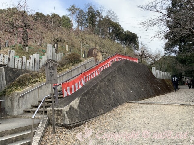 大縣神社　梅園の入り口階段