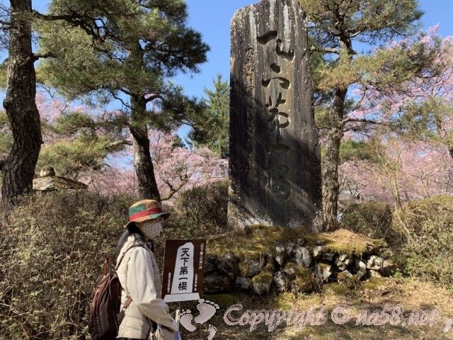 タカトオコヒガンザクラ　天下第一櫻の石碑