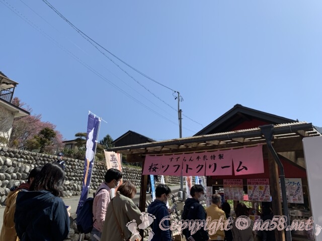 高遠の桜まつり・高遠城址公園　屋台出店　桜ソフトクリーム