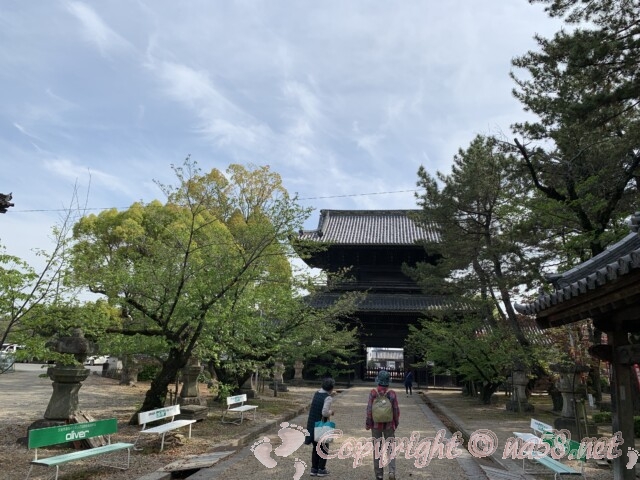 大樹寺（岡崎）からの歴史的眺望ビスタライン