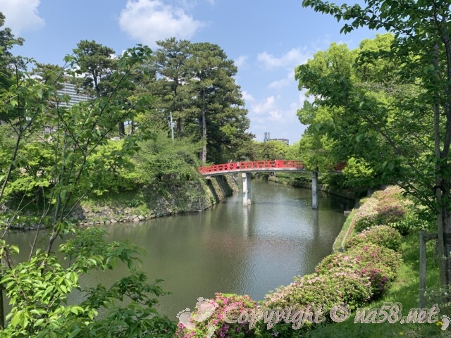 岡崎城のお堀と神橋とつつじ