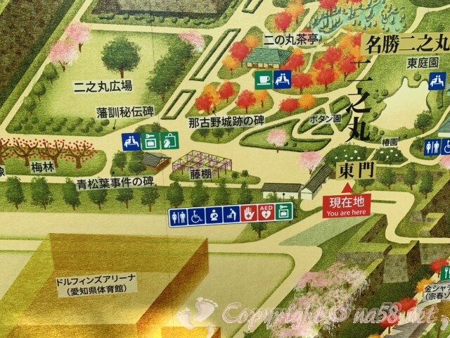 名古屋城内の藤棚の地図