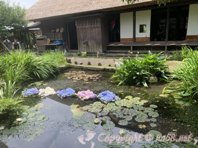 瀬戸屋敷（神奈川県開成町）の主屋から池庭