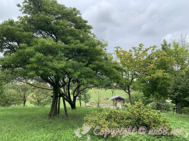 神明公園　愛知県豊山町　デイキャンプ場と林