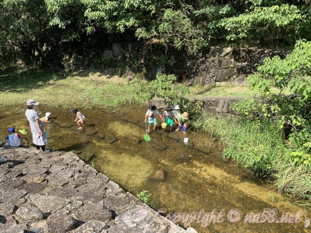 小幡緑地公園（名古屋市守山区）本園　川遊び　水遊びスポット