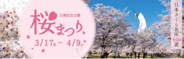 万博記念公園　桜まつり　2023　期間