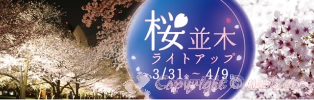 万博記念公園　桜まつり2023　夜桜ライトアップ