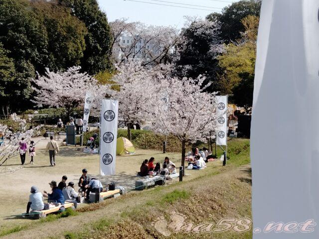 小牧山　公園　桜　お花見