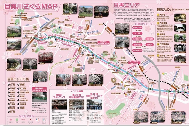 目黒川　さくらマップ　MAP