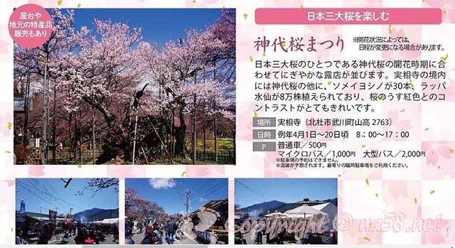 山高神代桜　桜まつり　2023　チラシ