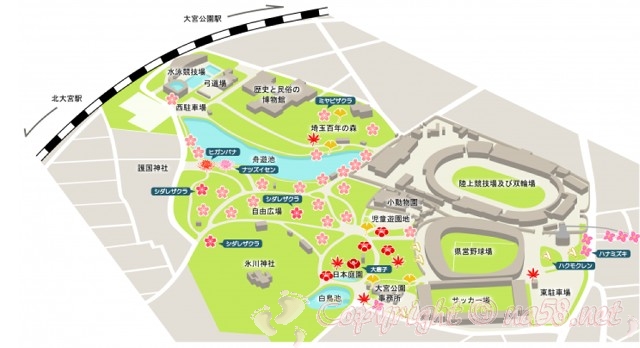 大宮公園　花マップ