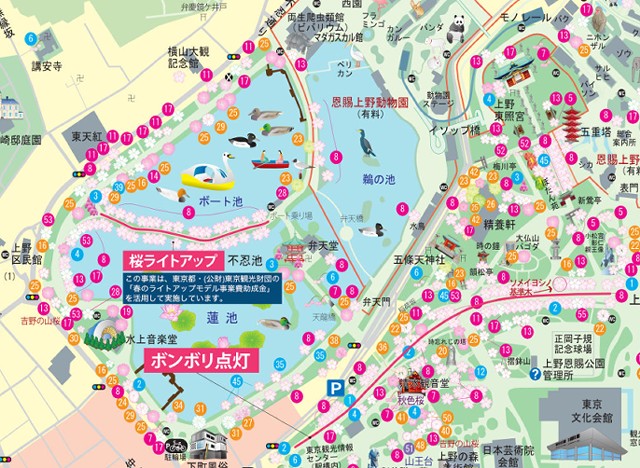 上野公園　上野恩賜公園　桜　ライトアップとぼんぼり　地図　2023