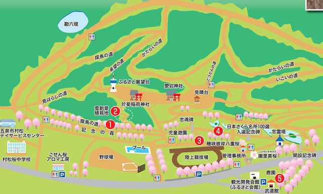 新潟県　村松公園　桜　マップ
