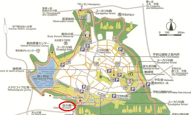平和公園　桜の園　地図マップ