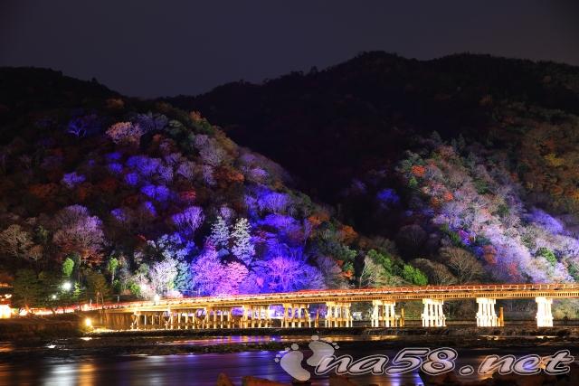 京都嵐山 中之島公園 ライトアップ