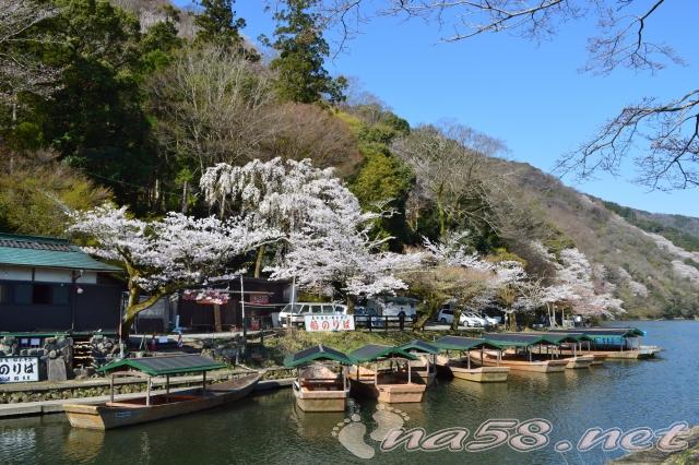 京都 嵐山の桜