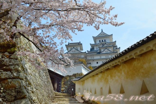 姫路城の桜将軍坂