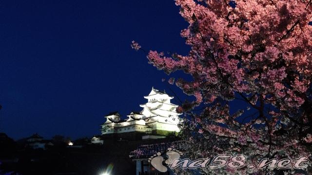 姫路城/桜のライトアップ「姫路城夜桜会」