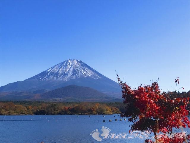 精進湖からの富士山　紅葉