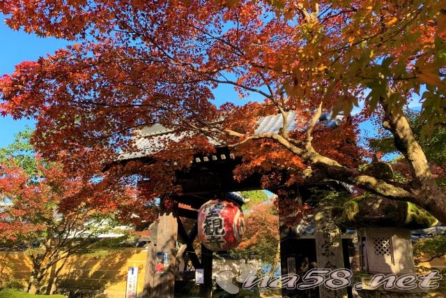 金剛輪寺 紅葉