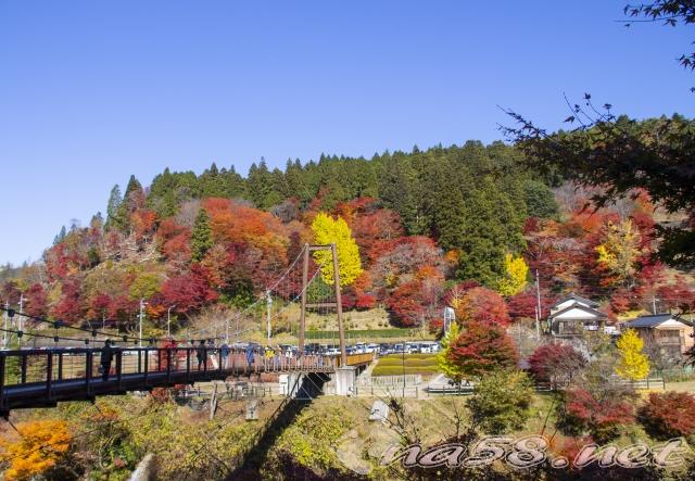 大井平公園　紅葉　吊り橋