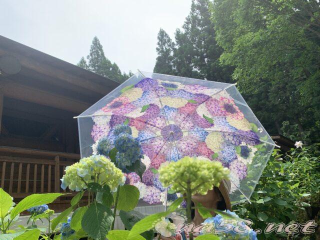 21世紀の森公園　紫陽花の傘をお借りして