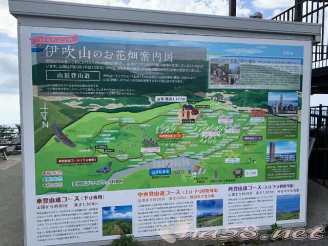 伊吹山　お花畑案内図　登山コース