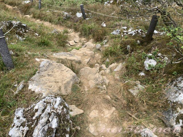 伊吹山の東登山道コース