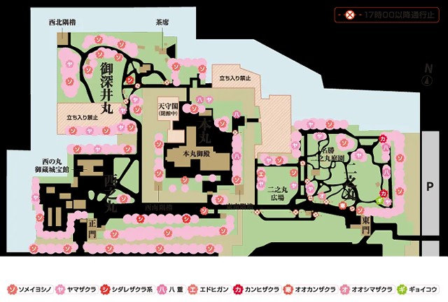 名古屋城　桜　地図