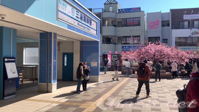 桜まつりの会場は、三浦海岸駅から徒歩圏内に位置